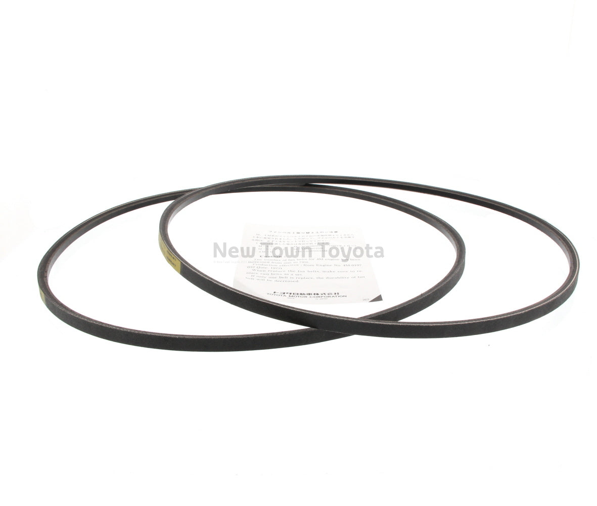 Fan Belt